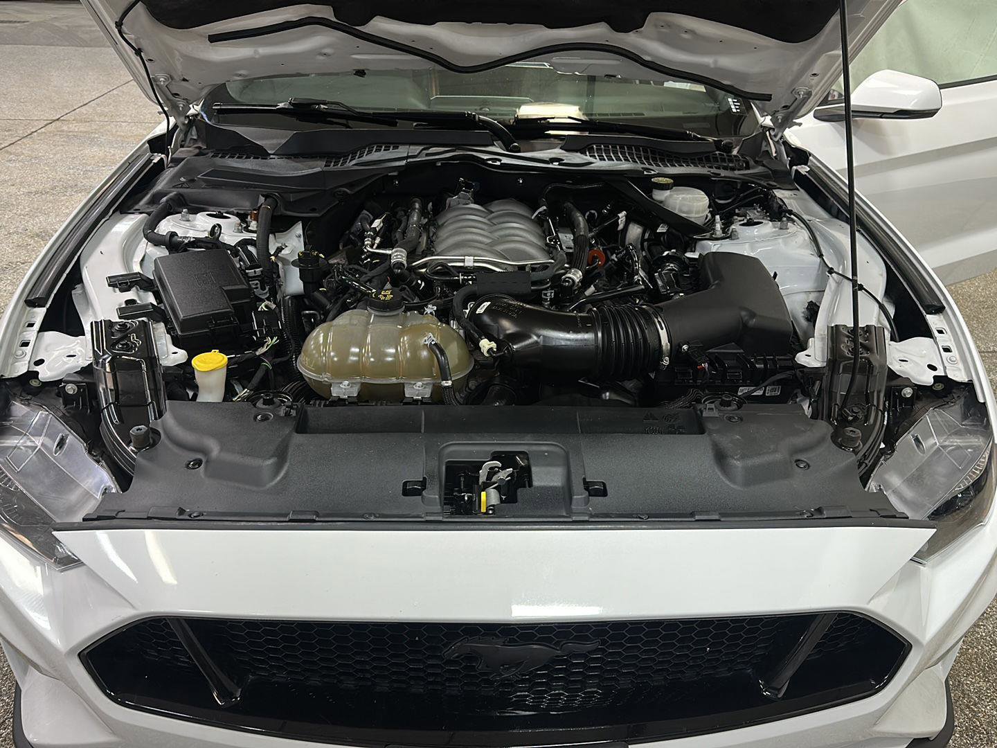 Used 2018 Ford Mustang GT Premium image 13