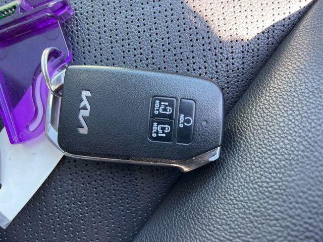 Certified 2024 Kia Carnival SX Prestige image 45