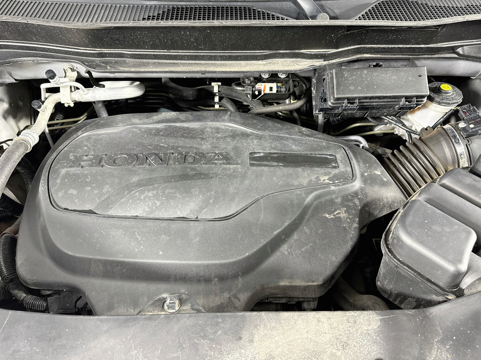 Certified 2019 Honda Pilot EX-L image 31