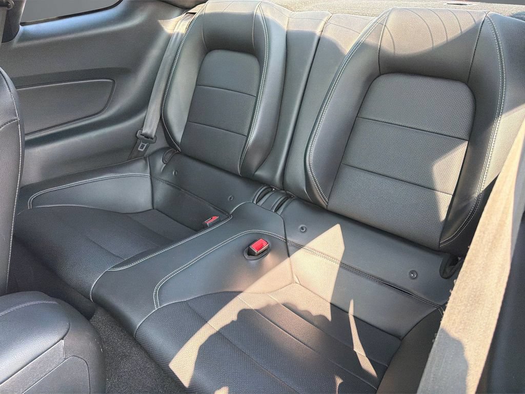 Used 2019 Ford Mustang Premium w/ Ecoboost Performance Package RWD image 14