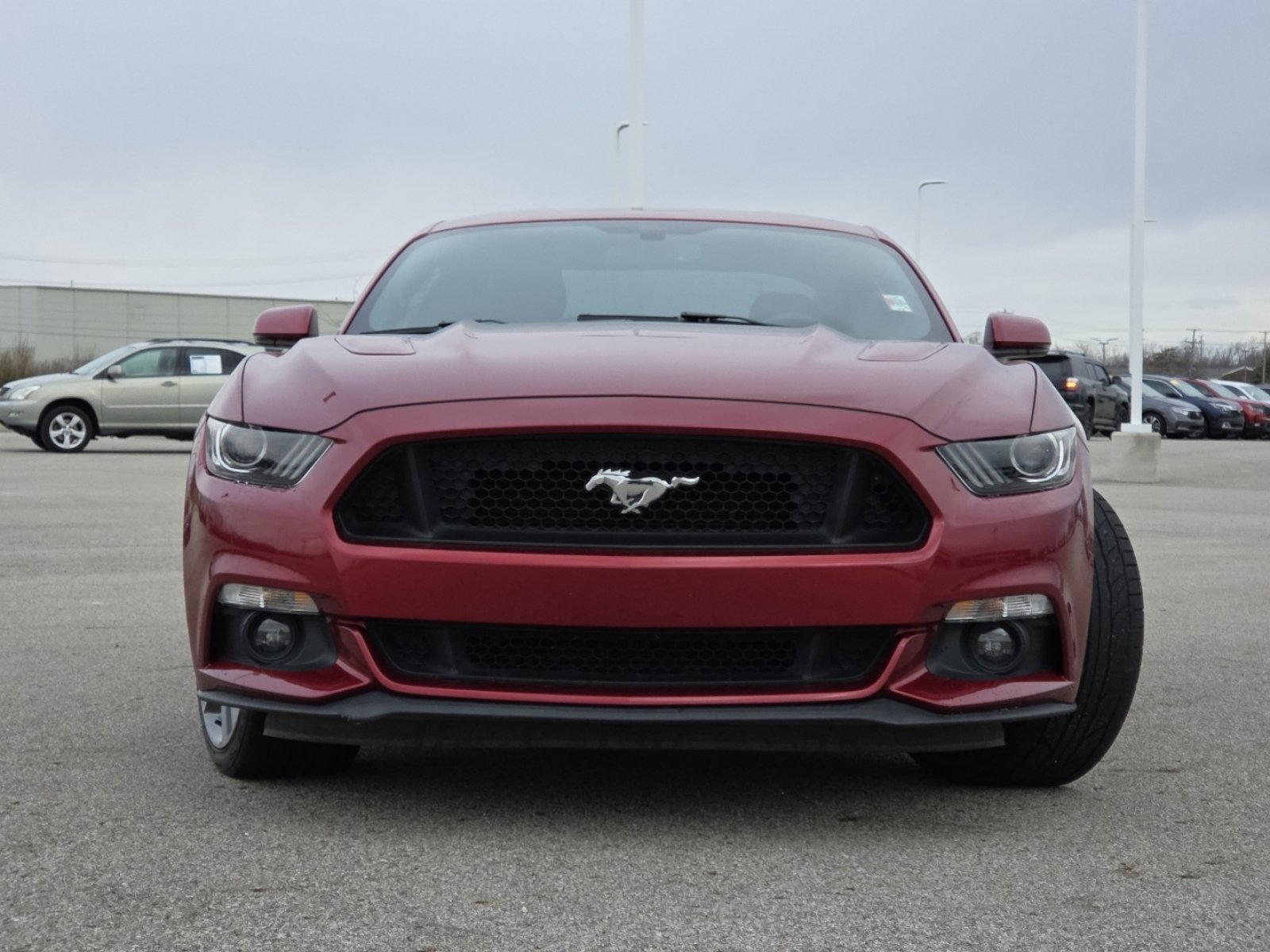 Used 2016 Ford Mustang GT Premium w/ Equipment Group 401A image 12