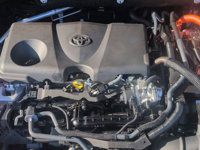 Certified 2025 Toyota RAV4 LE image 29