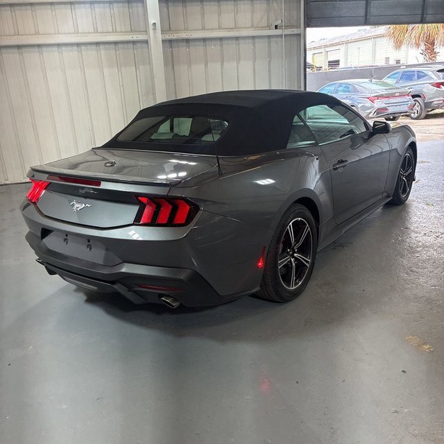 Used 2024 Ford Mustang Premium image 2
