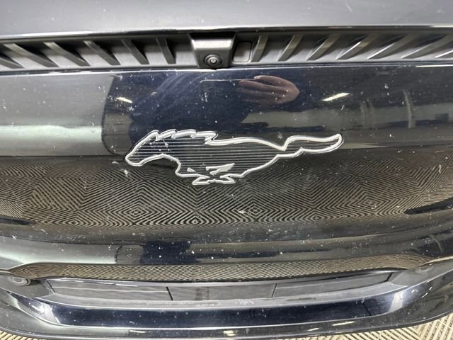 Used 2021 Ford Mustang Mach-E California Route 1 image 9