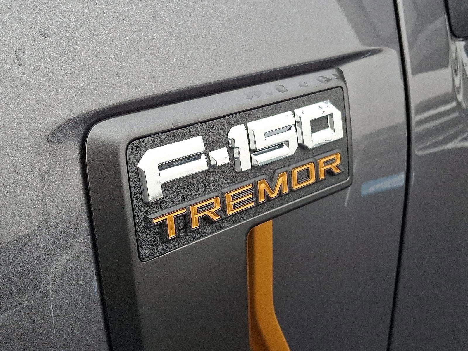 Used 2024 Ford F150 XL image 29