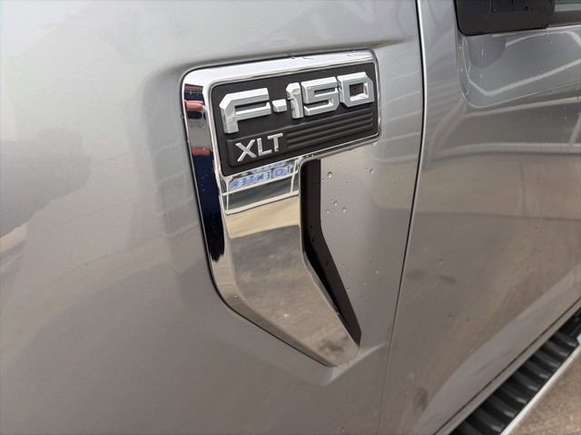 Used 2024 Ford F150 XLT image 7