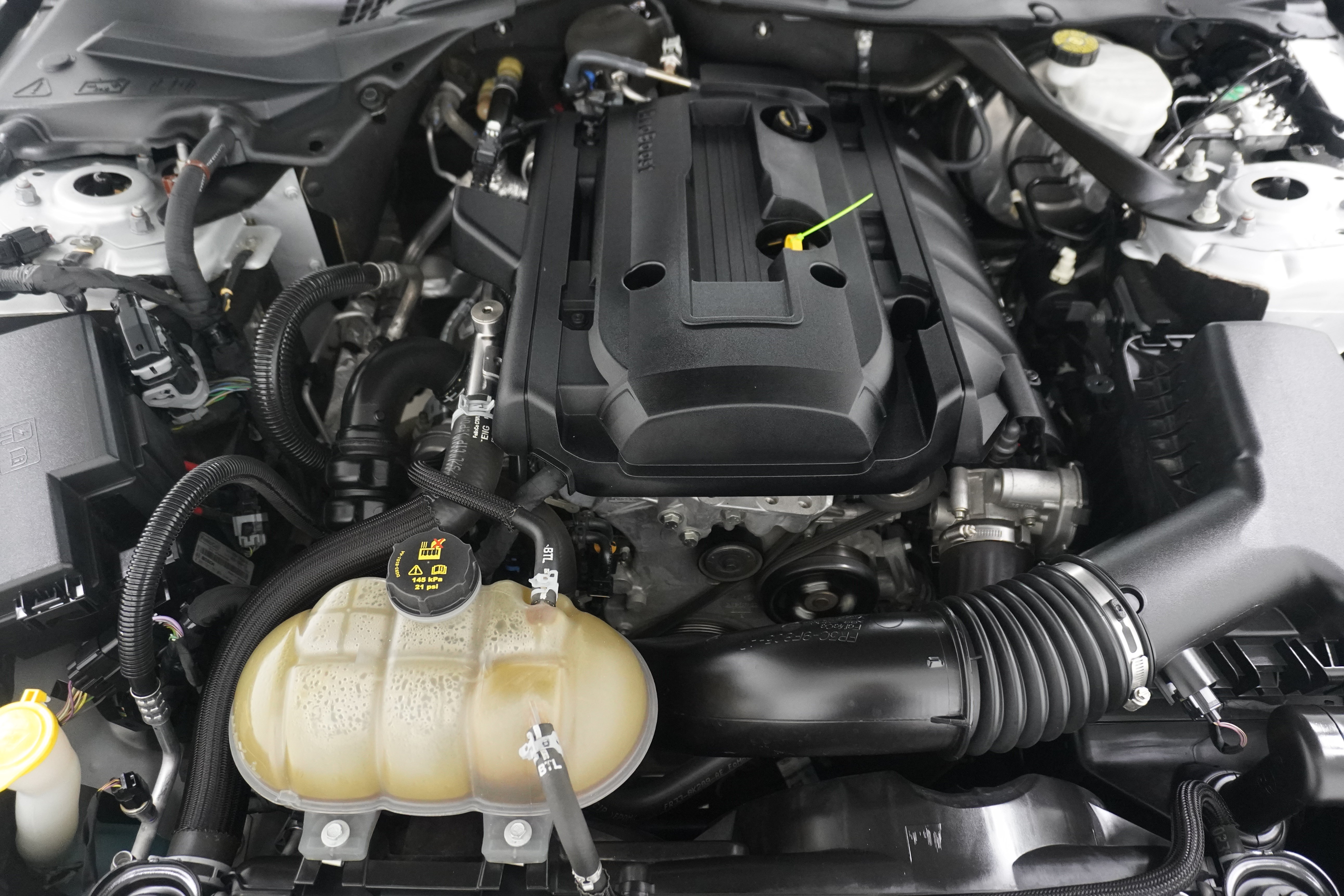 Used 2019 Ford Mustang Premium RWD image 34