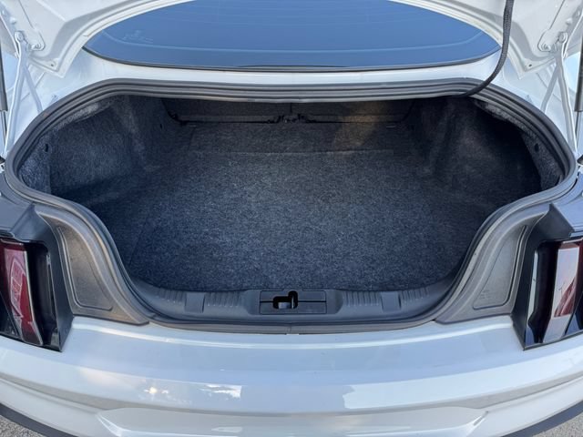 Used 2019 Ford Mustang Premium w/ Equipment Group 201A RWD image 15