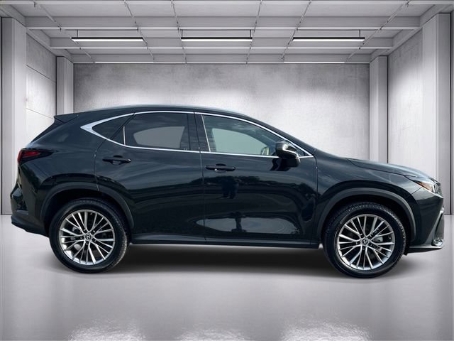 Used 2023 Lexus NX 350h AWD image 2