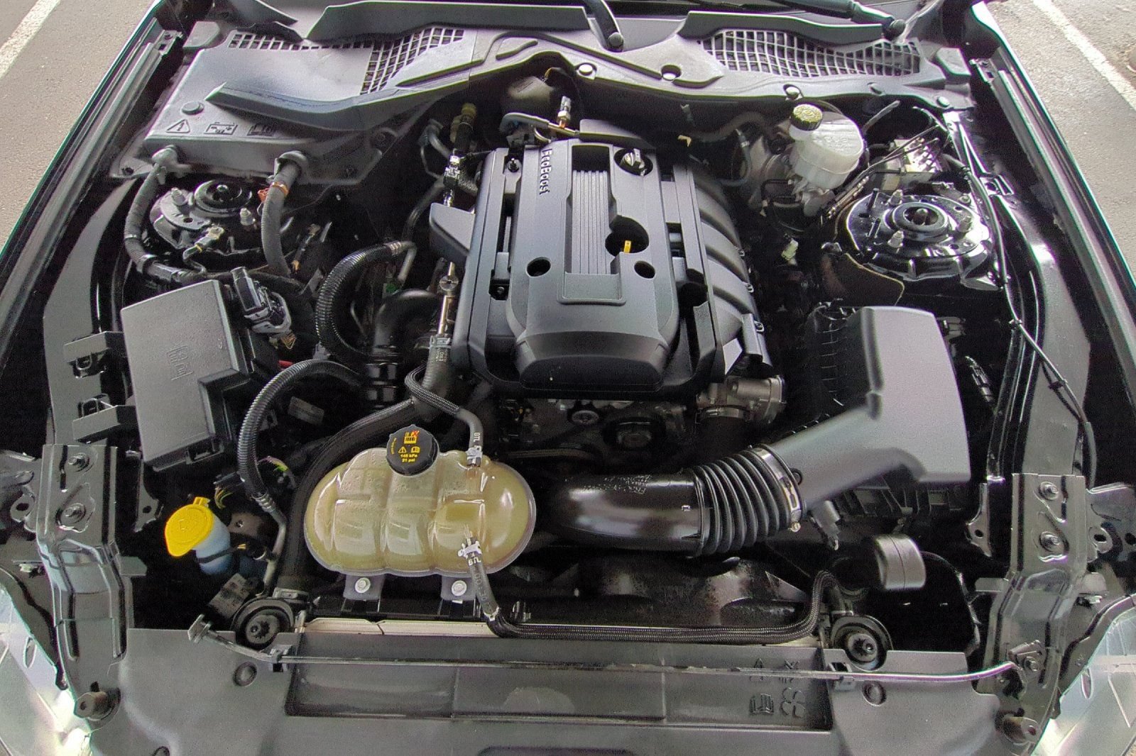 Used 2019 Ford Mustang Premium w/ Equipment Group 201A RWD image 55