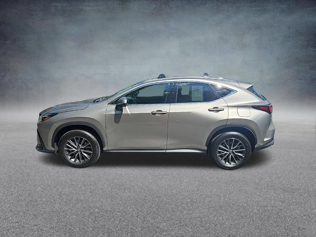 Used 2025 Lexus NX 250 FWD w/ Cold Area Package image 6