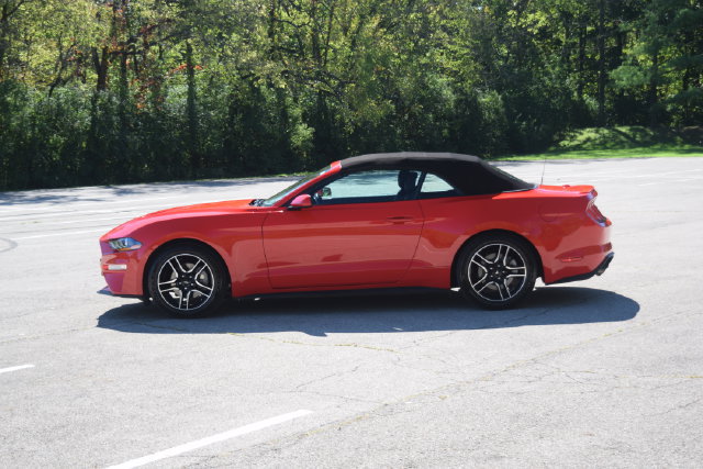 Used 2021 Ford Mustang Premium RWD image 20