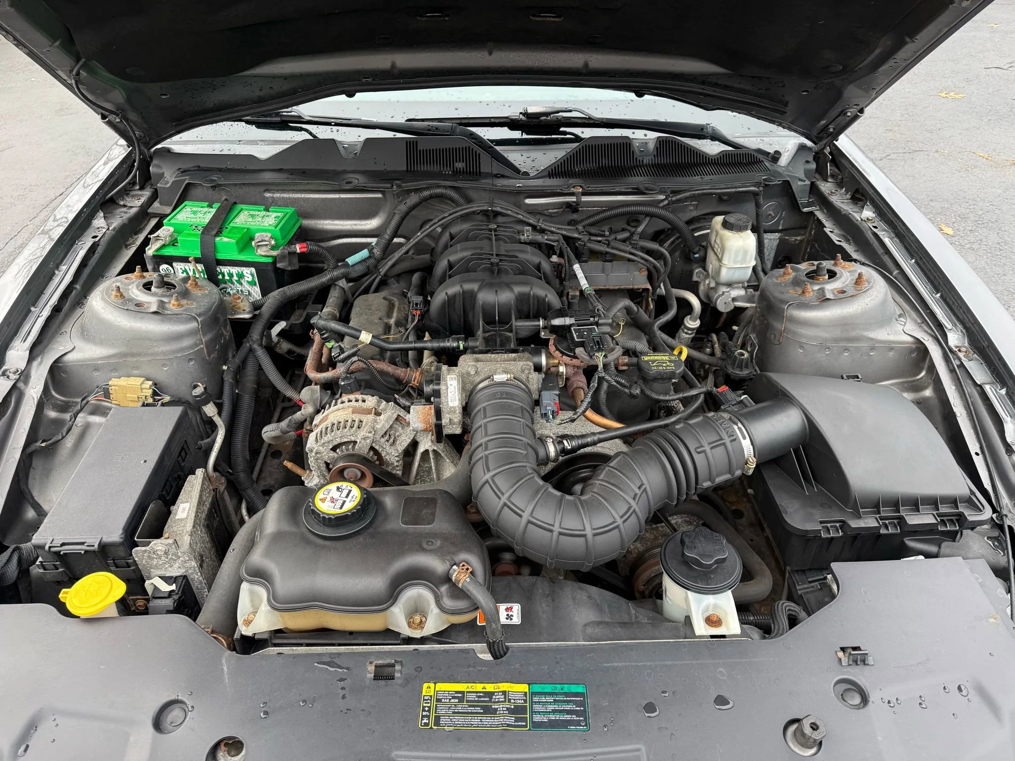 Used 2010 Ford Mustang Coupe image 13