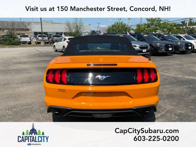 Used 2019 Ford Mustang Premium w/ Equipment Group 201A RWD image 6