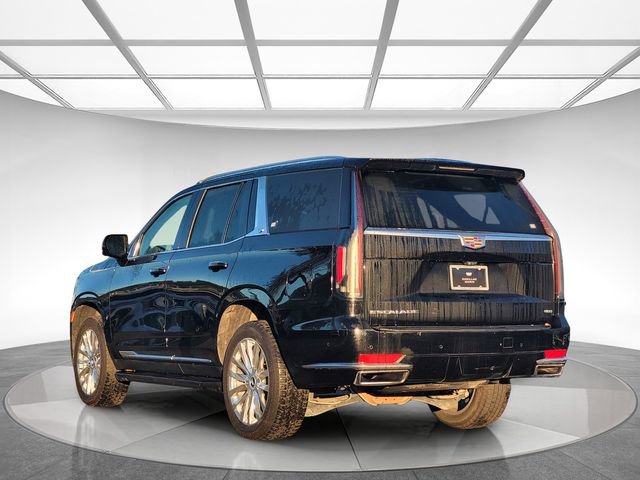 Used 2023 Cadillac Escalade Premium Luxury image 7