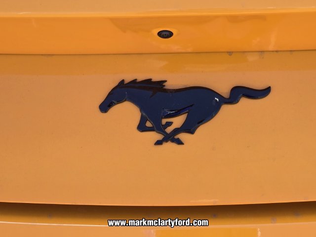 New 2026 Ford Mustang Coupe w/ Mustang Nite Pony Package RWD image 11
