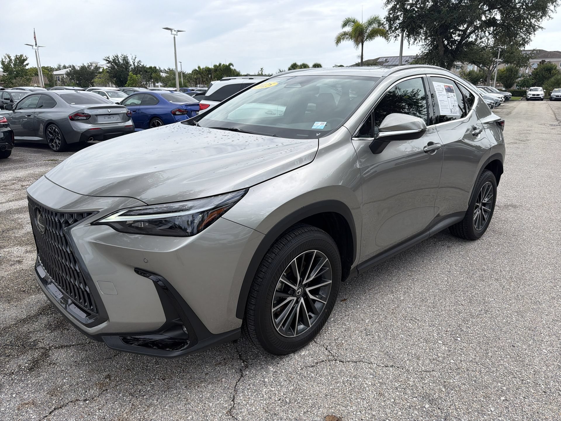 Used 2025 Lexus NX 350h AWD w/ Cold Area Package image 8