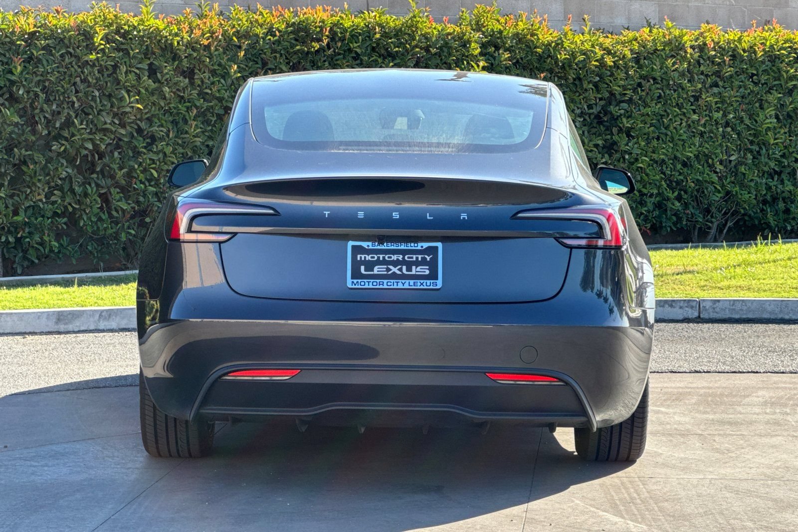 Used 2025 Tesla Model 3 Long Range RWD image 5