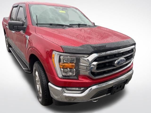 Used 2021 Ford F150 XLT w/ Equipment Group 302A High image 2