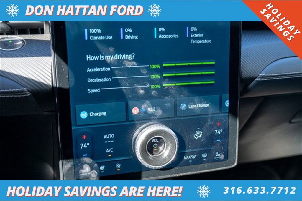 Used 2021 Ford Mustang Mach-E Premium image 10