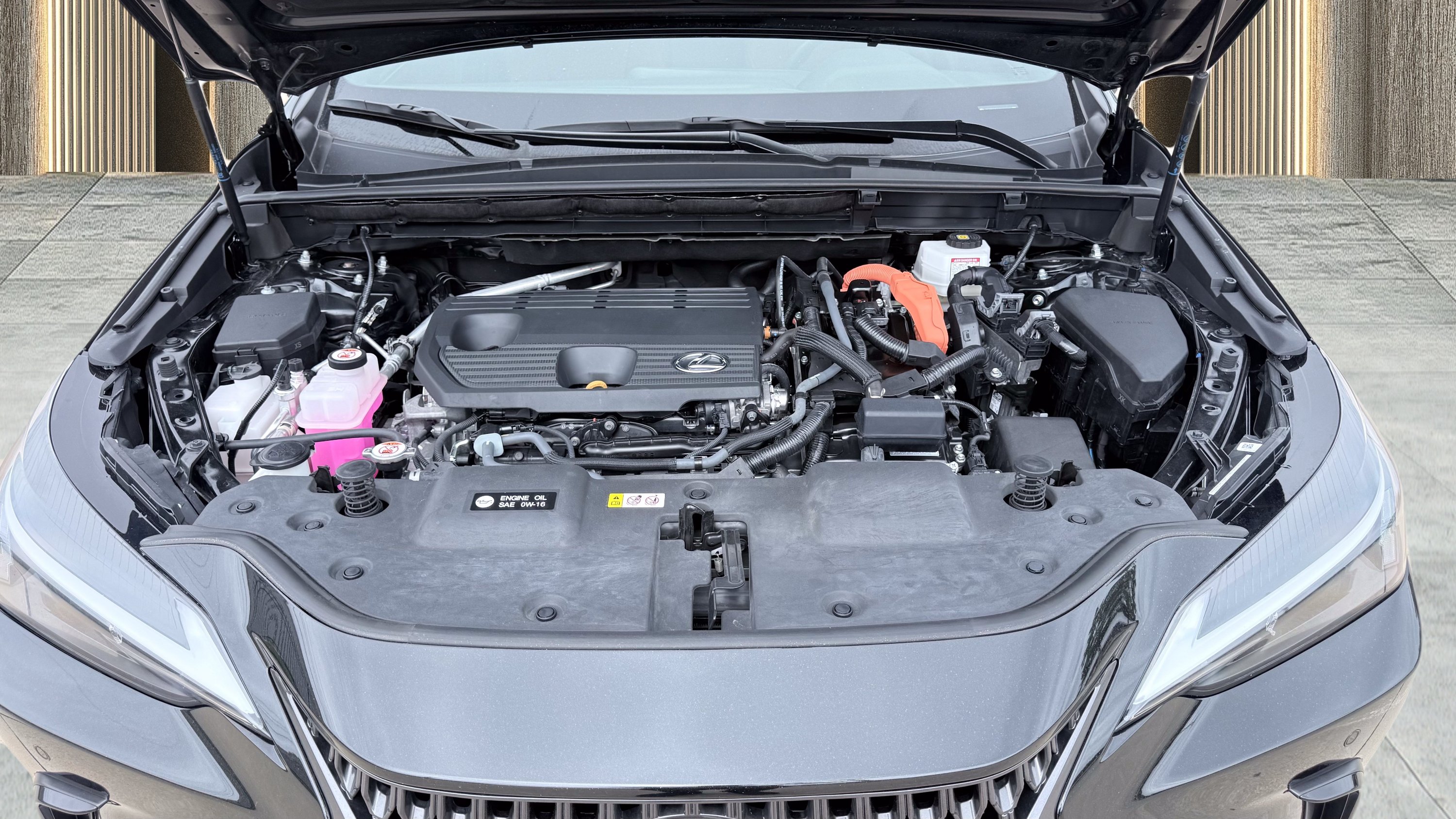 Used 2025 Lexus NX 350h AWD w/ Cold Area Package image 15