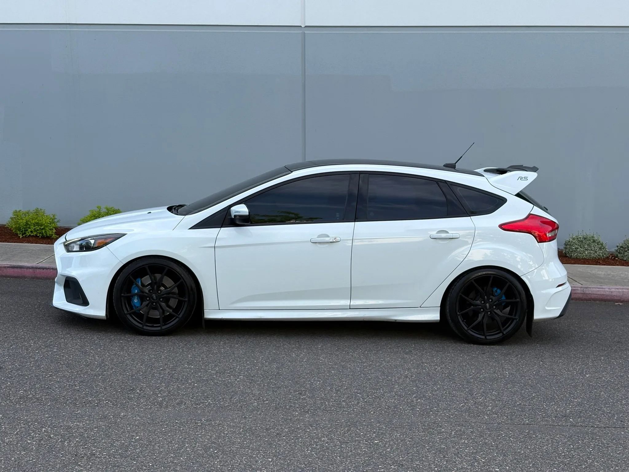 Used 2016 Ford Focus RS AWD/4WD image 3