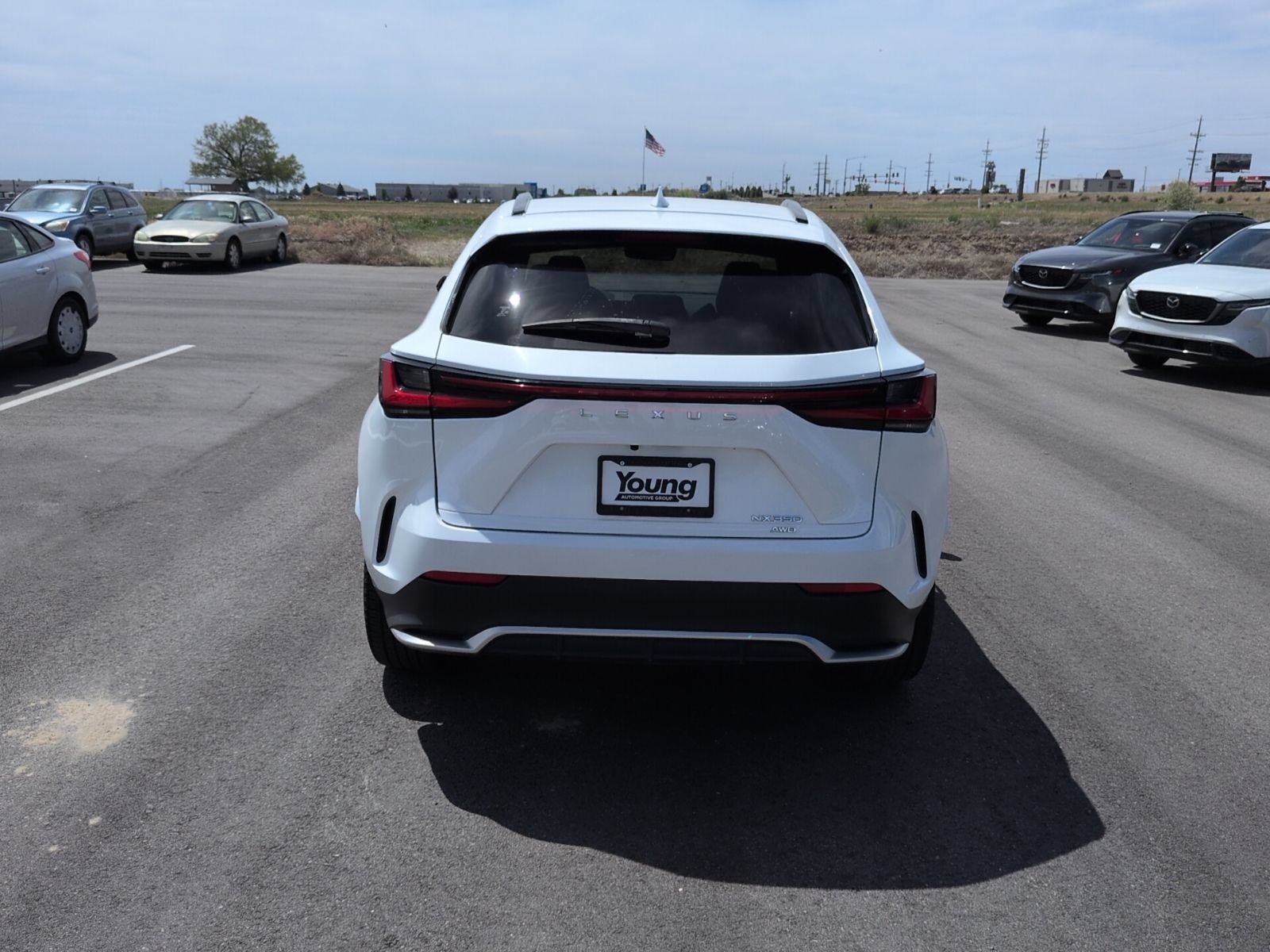 Used 2023 Lexus NX 350 F Sport AWD/4WD image 6