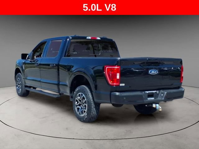 Used 2023 Ford F150 XLT w/ Equipment Group 302A High AWD/4WD image 3