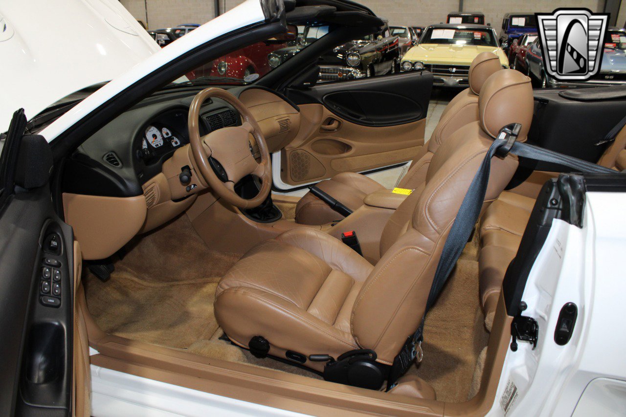 Used 1996 Ford Mustang Cobra image 6