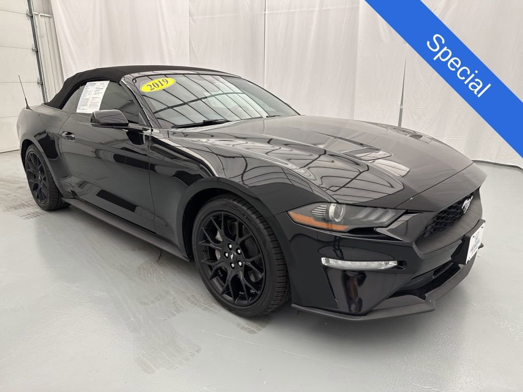 Used 2019 Ford Mustang Premium w/ Ecoboost Performance Package RWD image 1