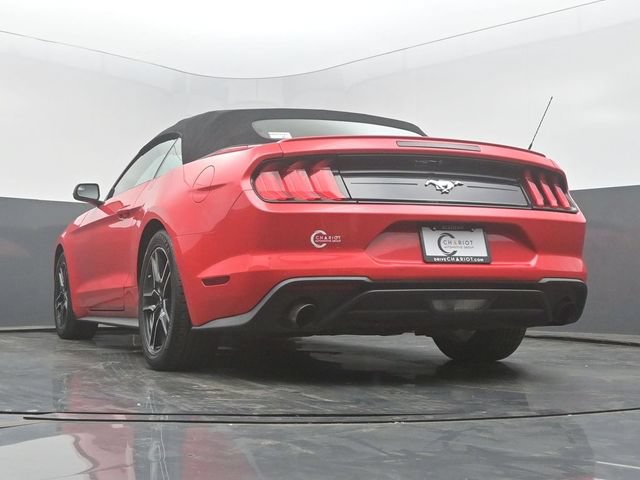 Used 2020 Ford Mustang Premium RWD image 42
