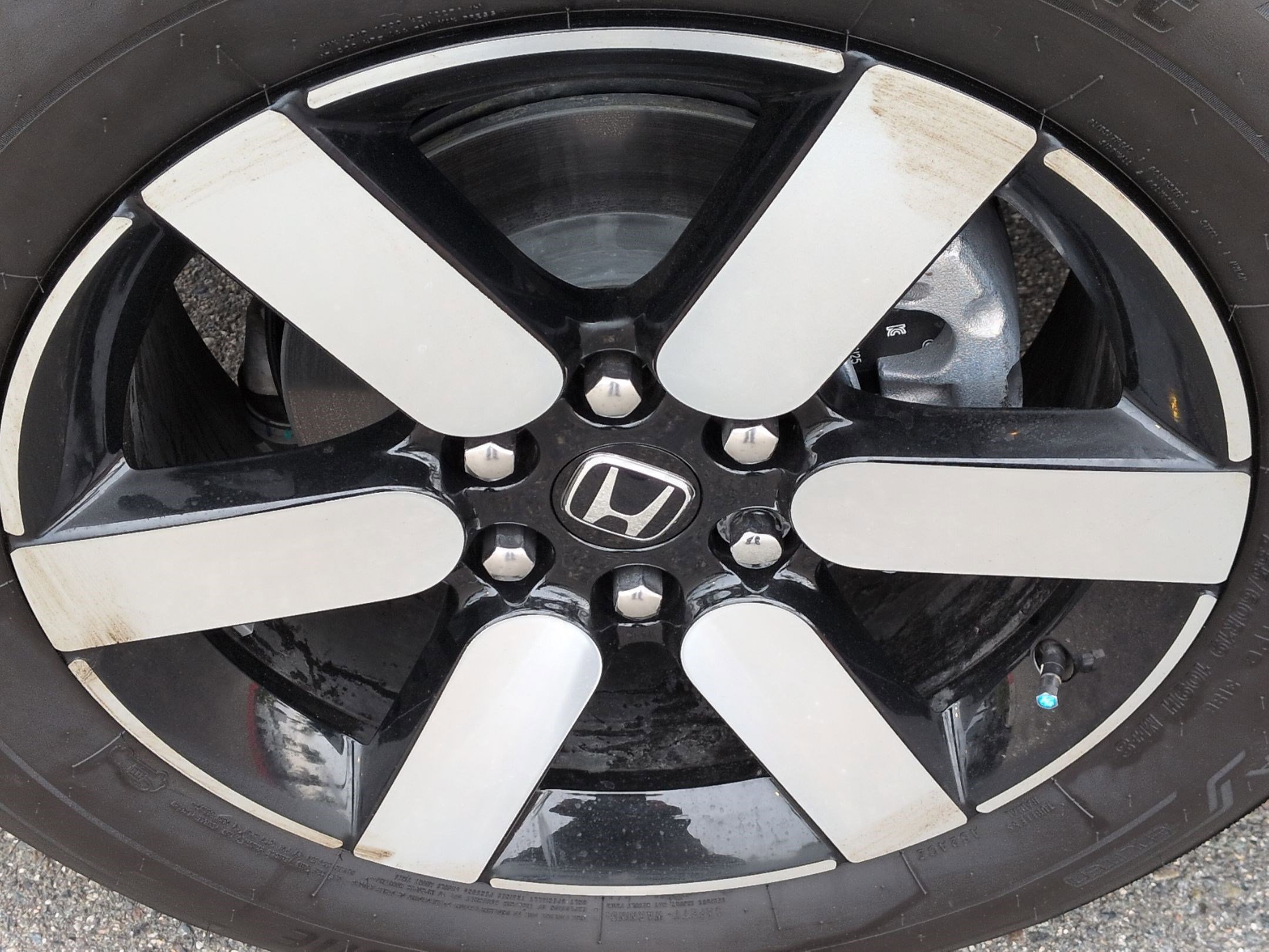 Used 2025 Honda Prologue Touring image 13