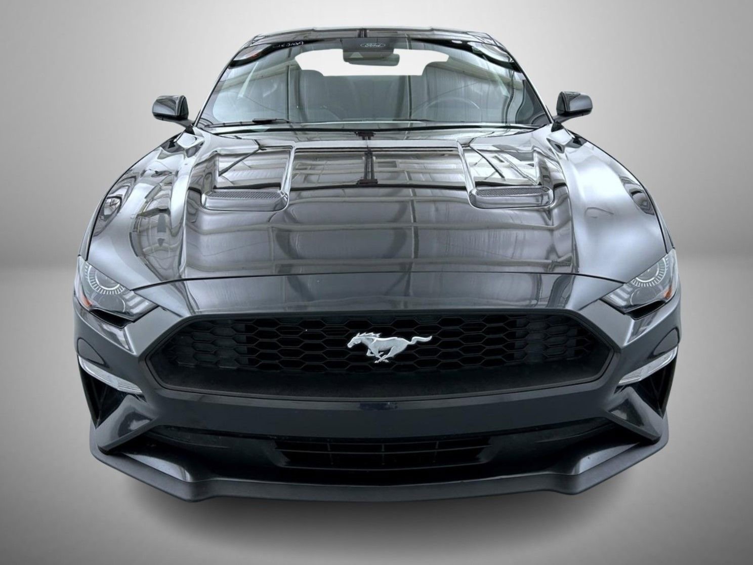 Used 2023 Ford Mustang Coupe w/ Equipment Group 101A image 2