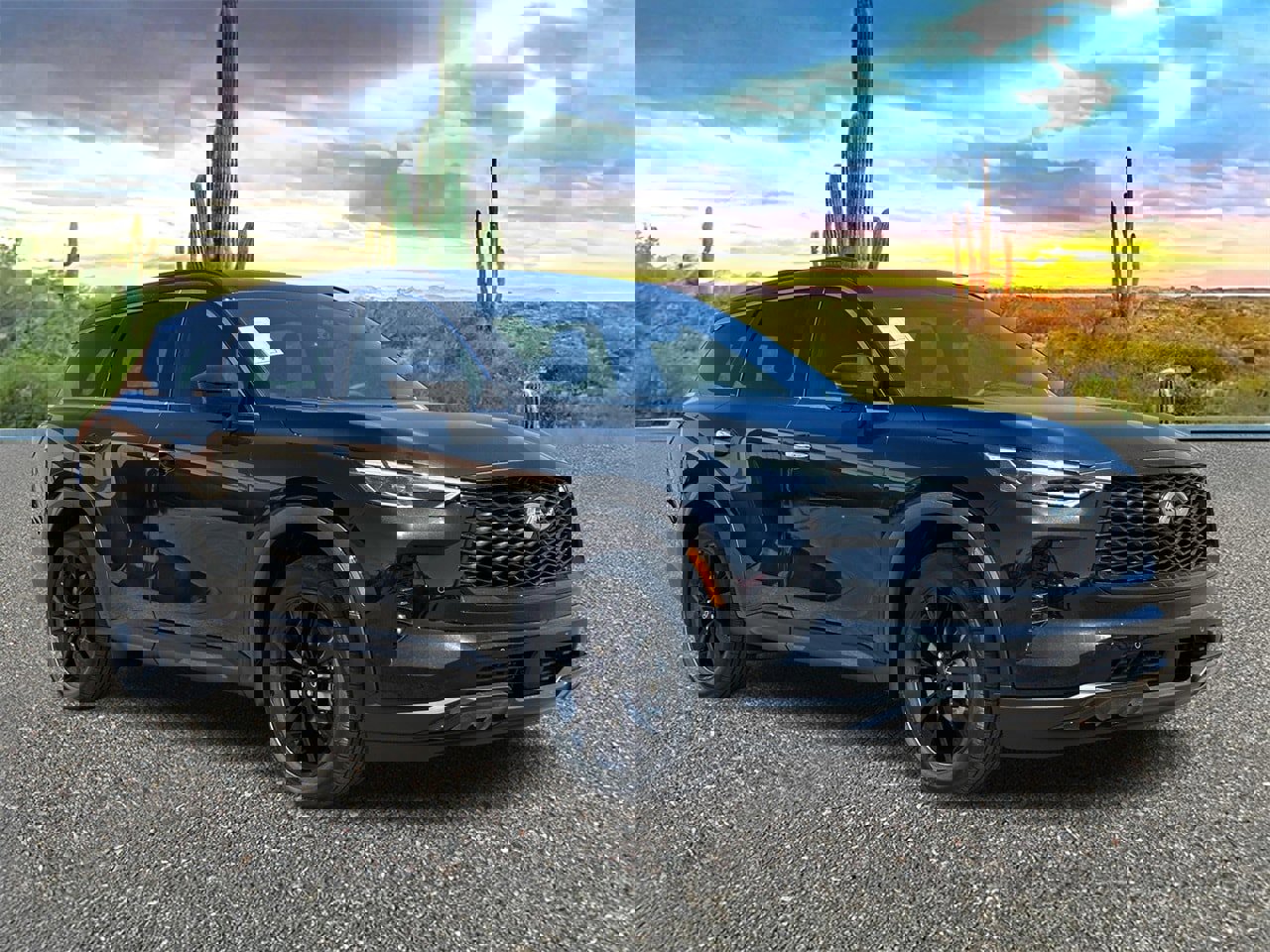 View Video