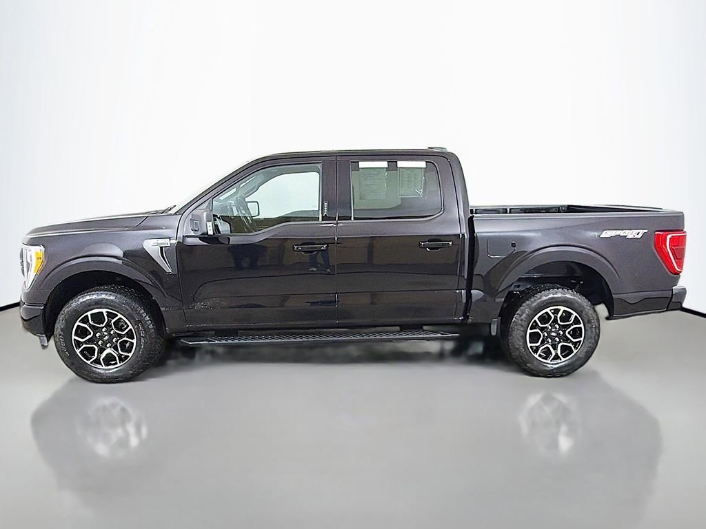 Used 2023 Ford F150 XLT w/ Equipment Group 302A High AWD/4WD image 12