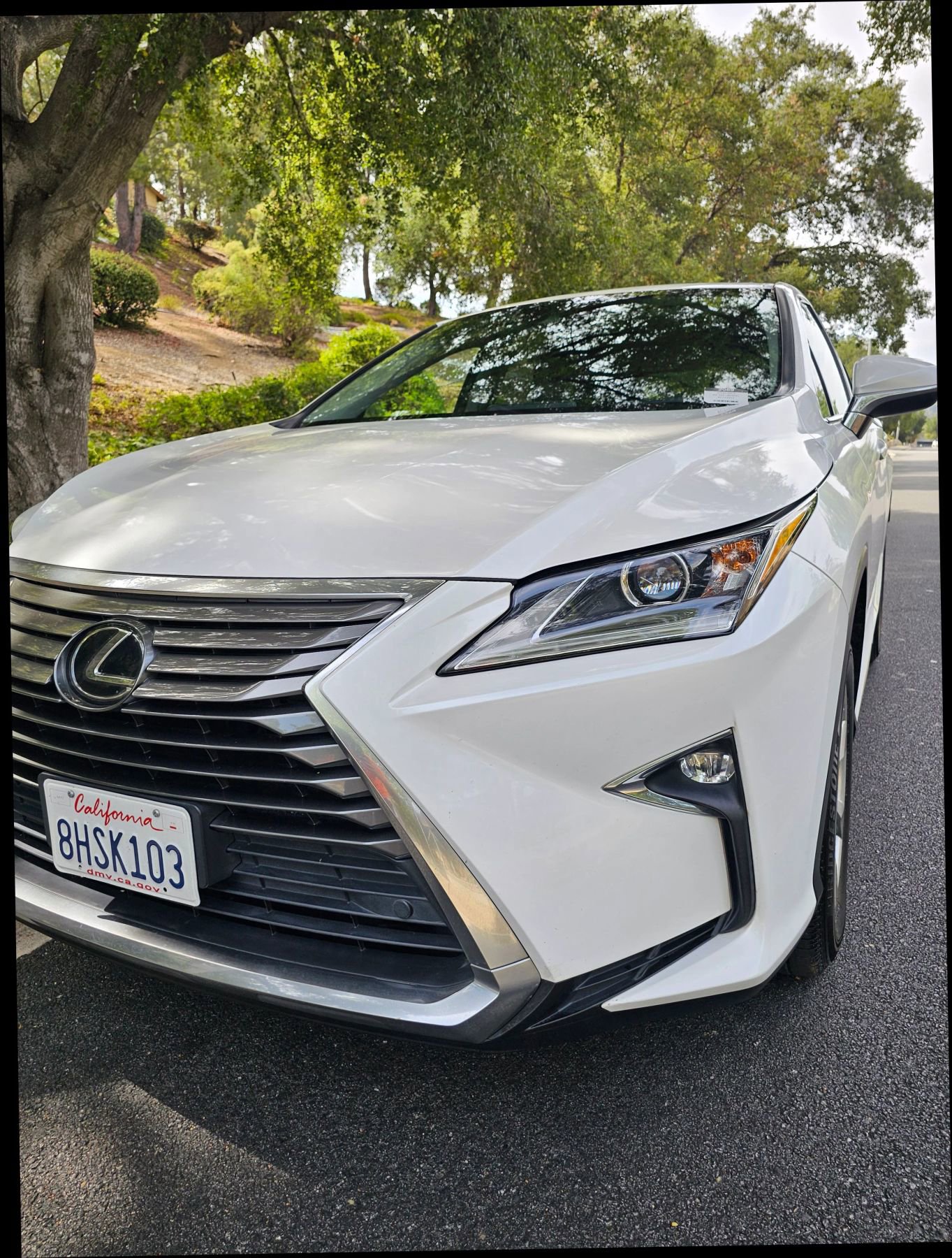 Used 2019 Lexus RX 350 F Sport image 32