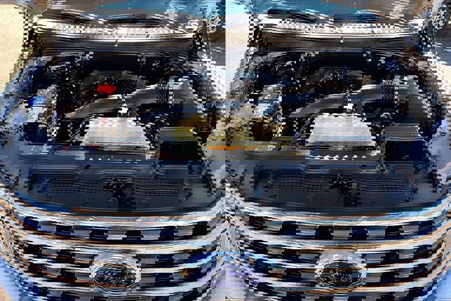 Used 2019 Ford Expedition XLT w/ Equipment Group 201A image 31