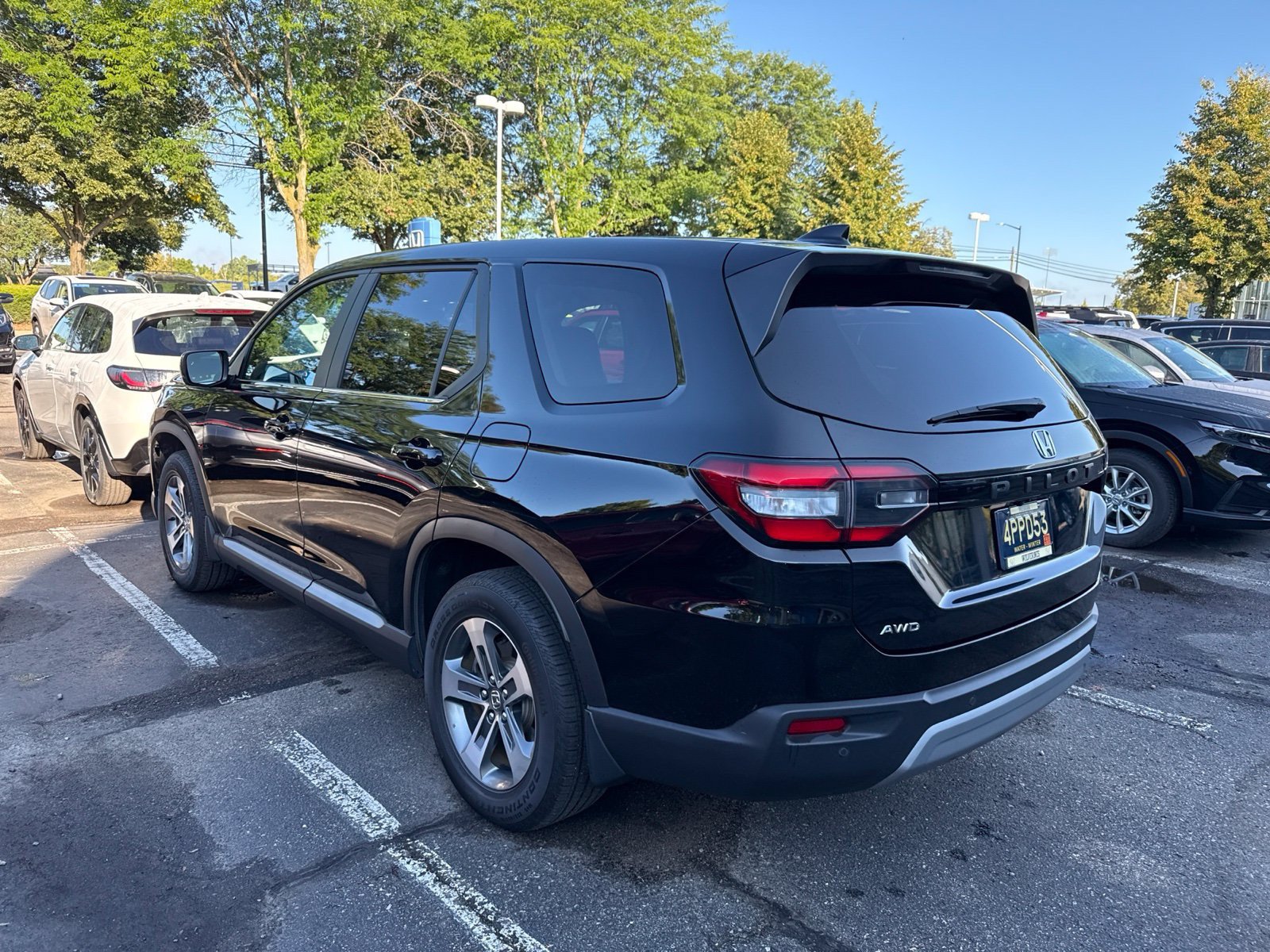 Certified 2025 Honda Pilot EX-L image 5