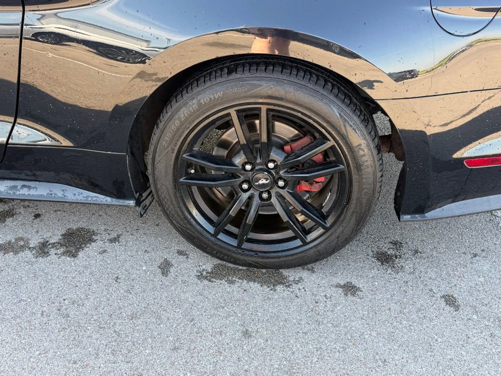 Used 2017 Ford Mustang GT Premium image 22