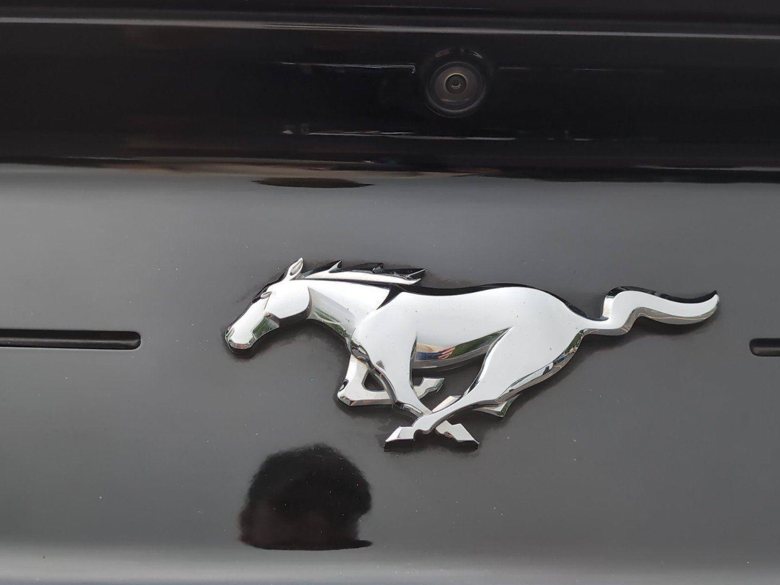 Used 2022 Ford Mustang Premium w/ Equipment Group 201A RWD image 5