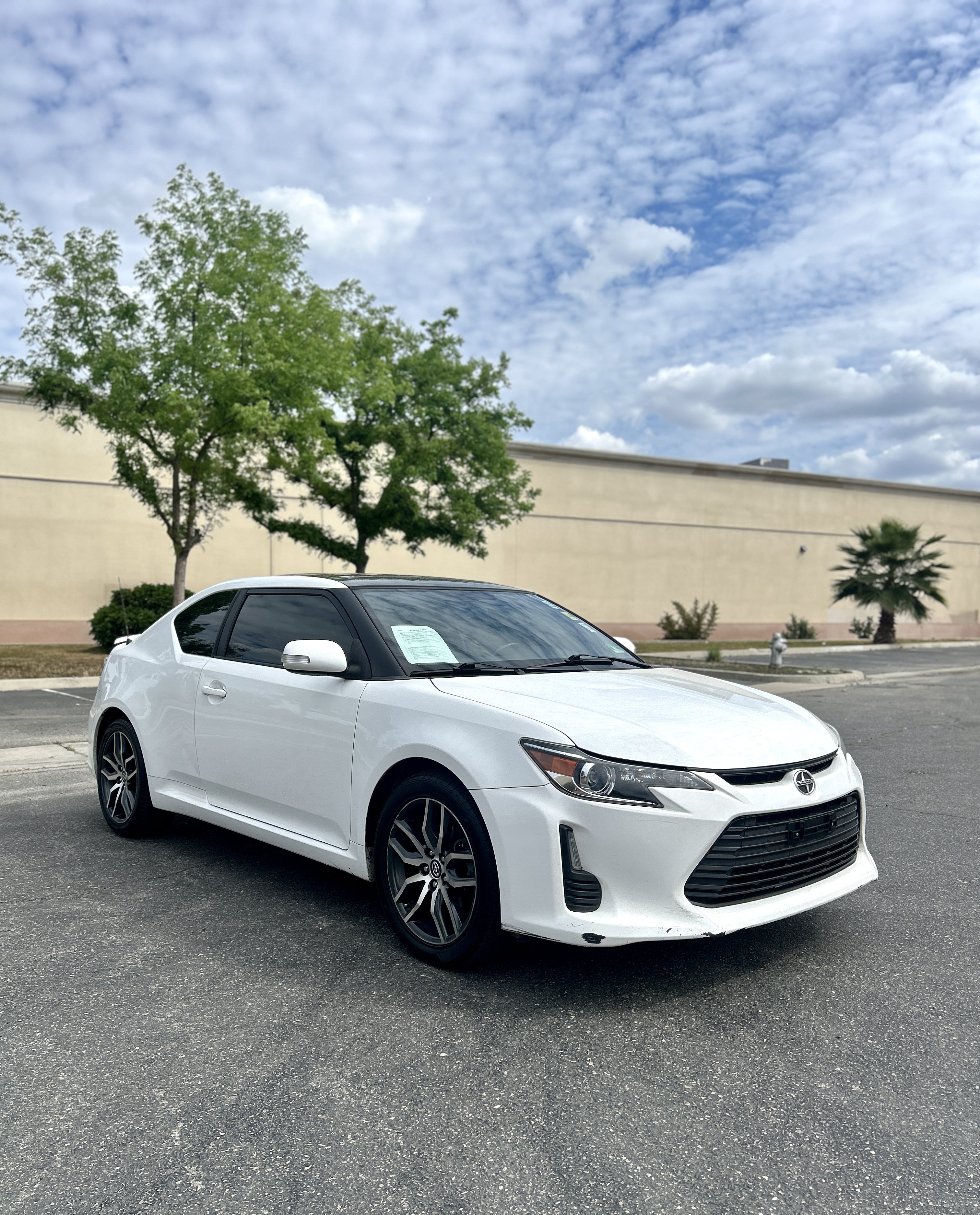 Used 2014 Scion tC Monogram Series FWD image 4