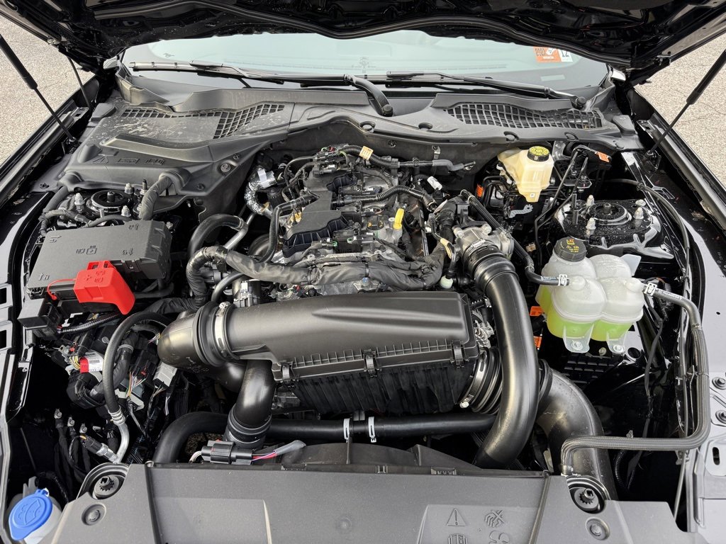 New 2026 Ford Mustang EcoBoost image 10