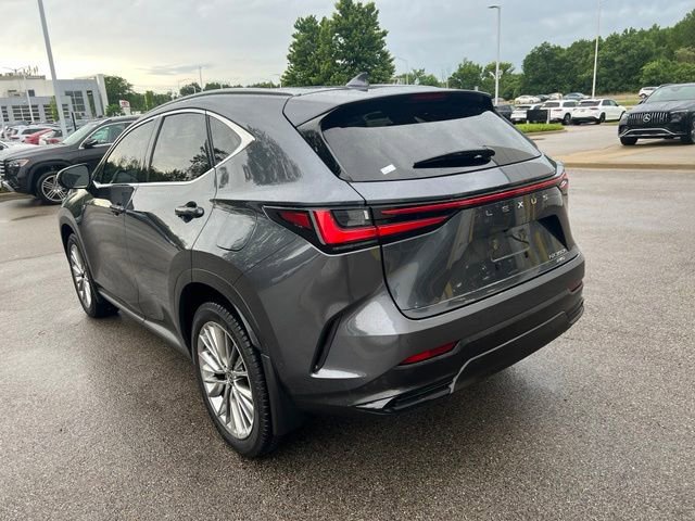 Used 2022 Lexus NX 350h AWD w/ Vision Package image 7