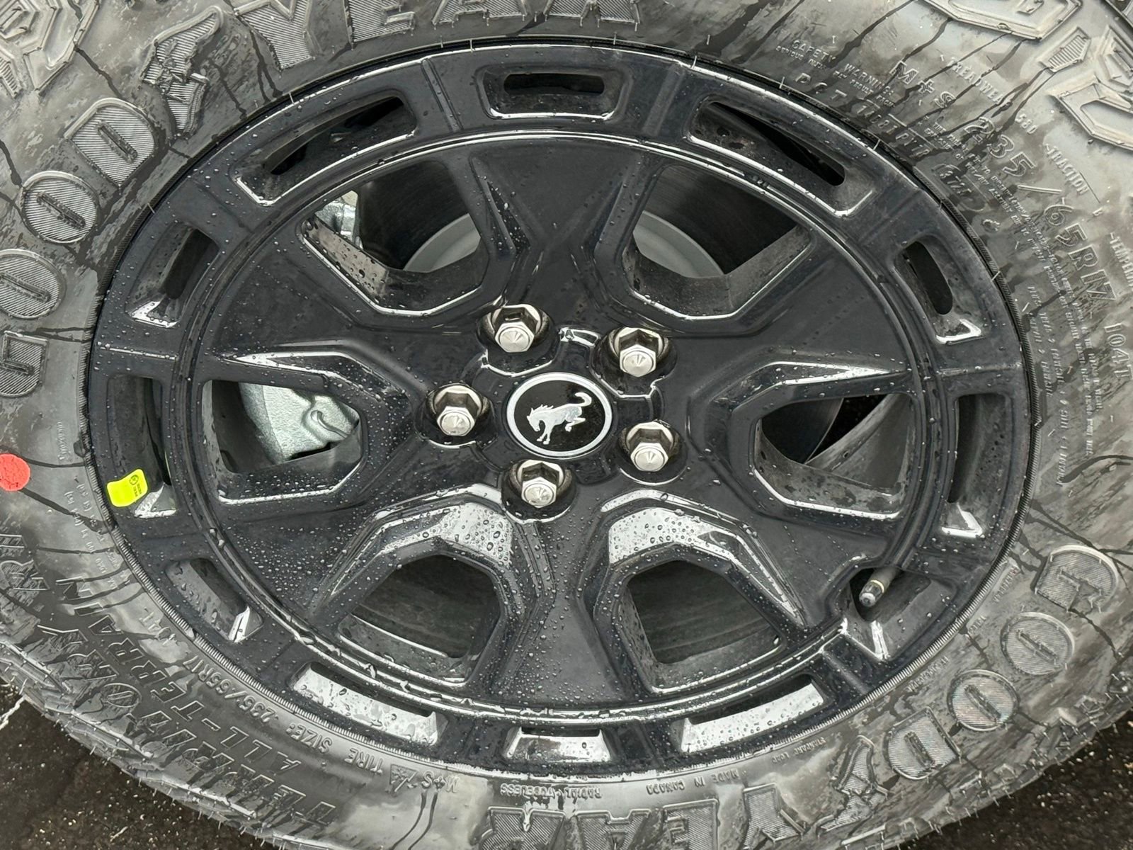 New 2025 Ford Bronco Sport Outer Banks w/ Sasquatch Outer Banks Package image 13