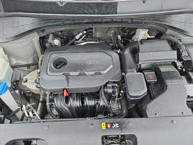 Used 2019 Kia Sorento L image 41