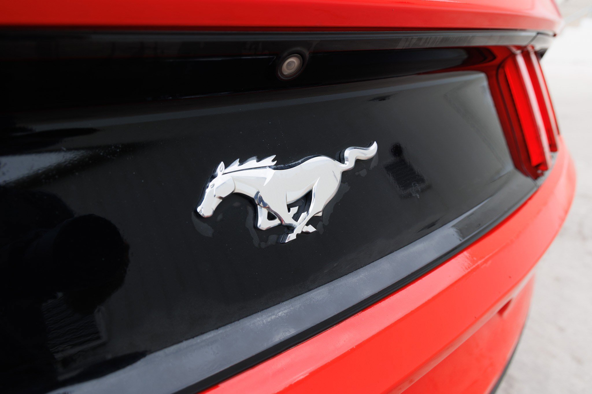 Used 2016 Ford Mustang Premium image 12