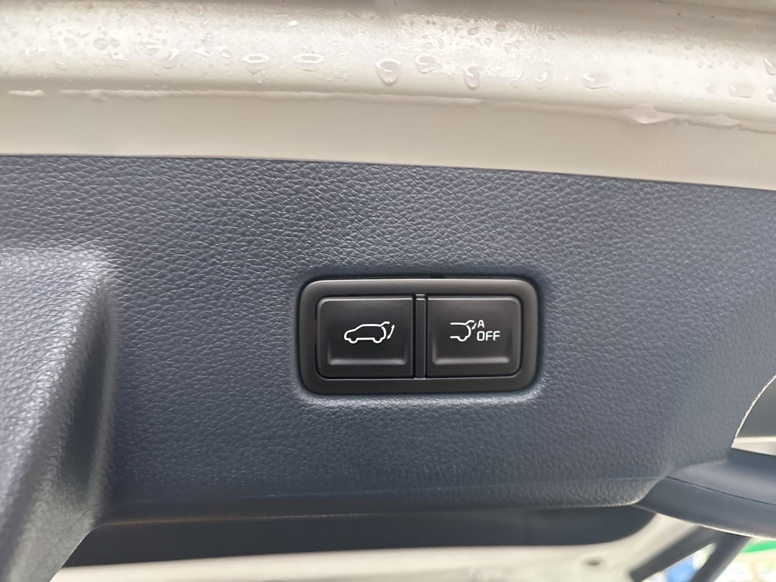 New 2025 Kia Carnival SX image 14