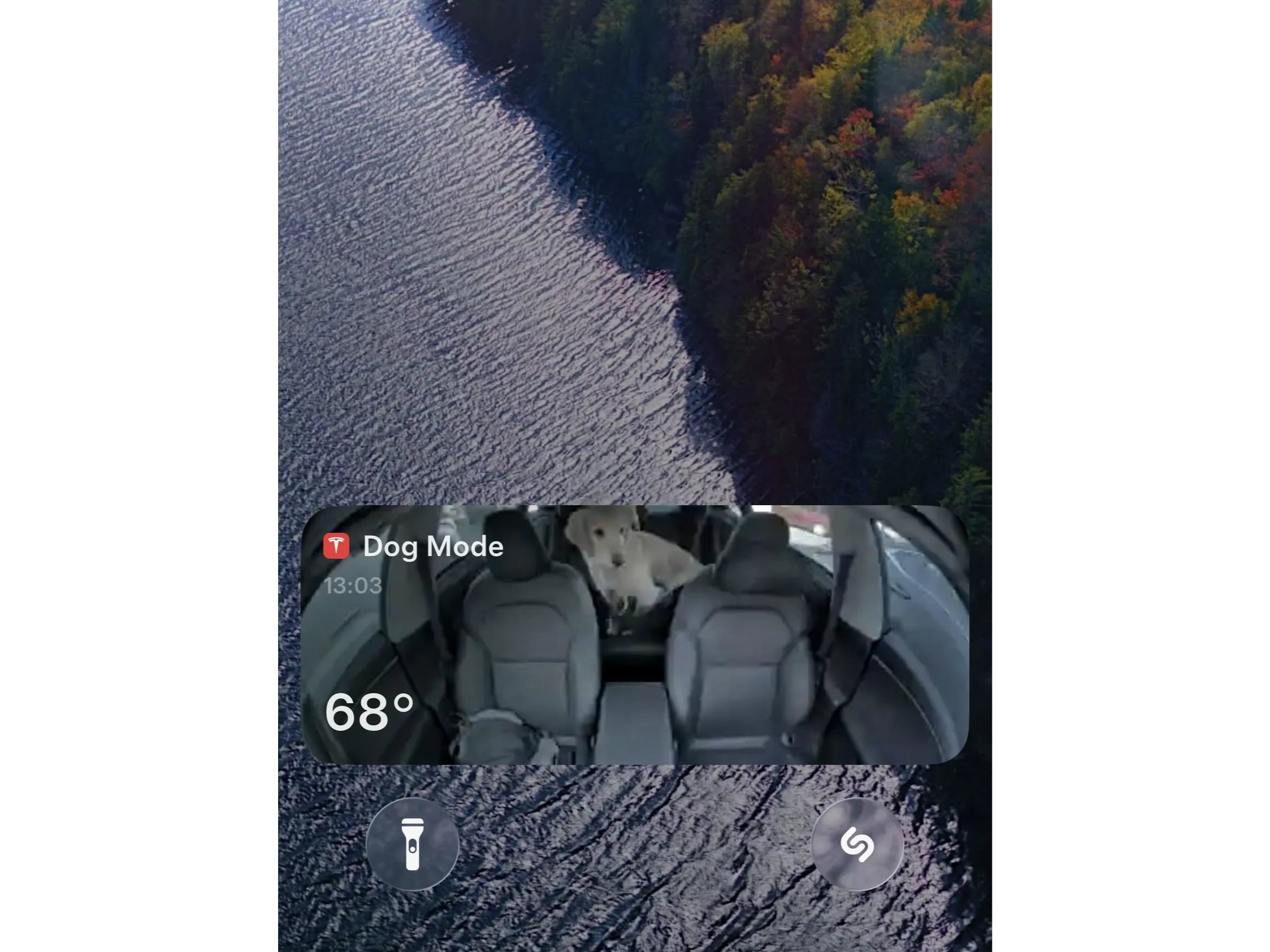 Used 2019 Tesla Model 3 Standard Range RWD image 17