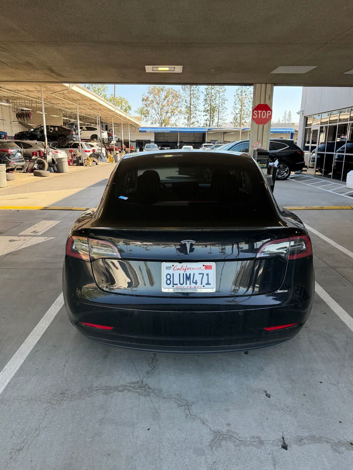 Used 2019 Tesla Model 3 Standard Range RWD image 6