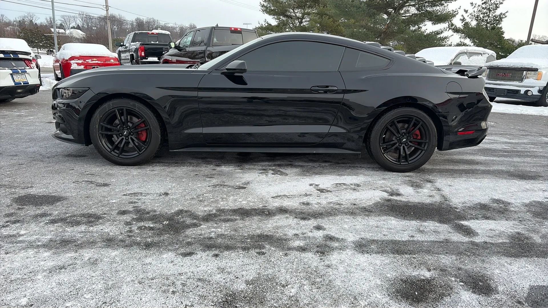 Used 2017 Ford Mustang Coupe image 14